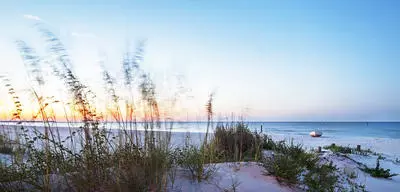 Beach Sunrise